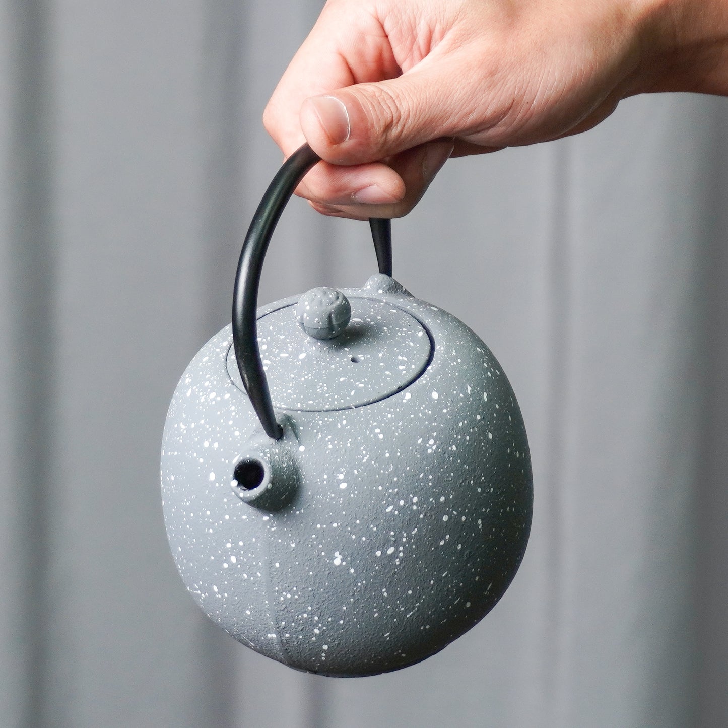 Speckled Gray Cast Iron Teapot | Starry Texture for Calm Living