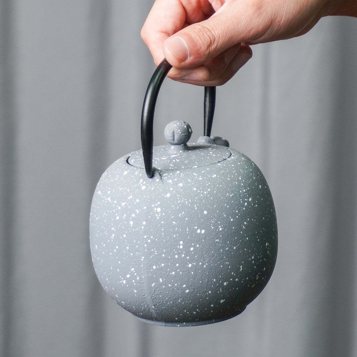 Speckled Gray Cast Iron Teapot | Starry Texture for Calm Living