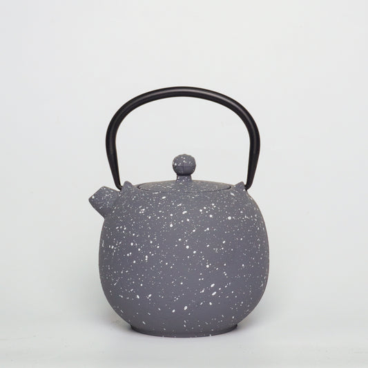 Speckled Gray Cast Iron Teapot | Starry Texture for Calm Living